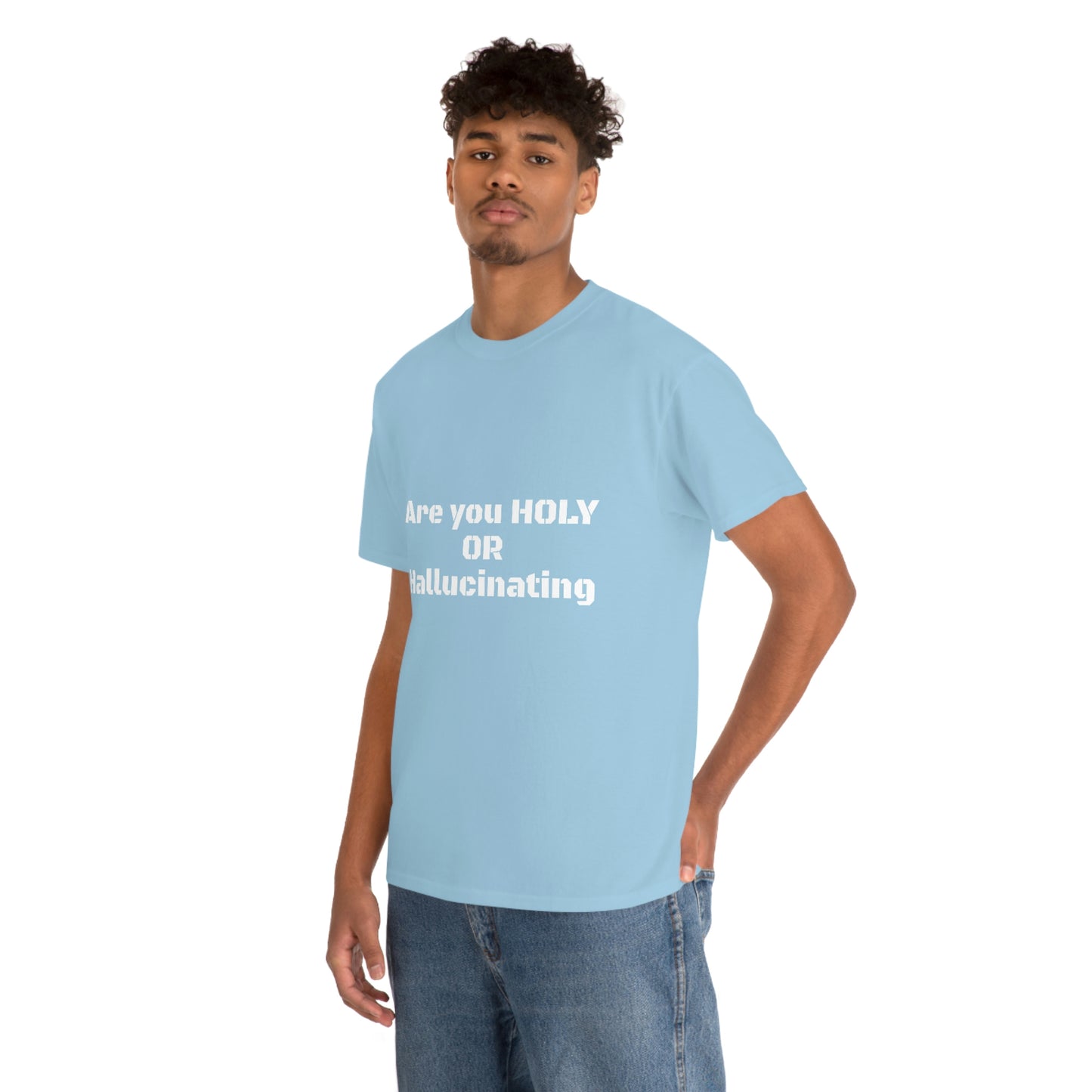 Unisex Heavy(Holy or Hallucinating)