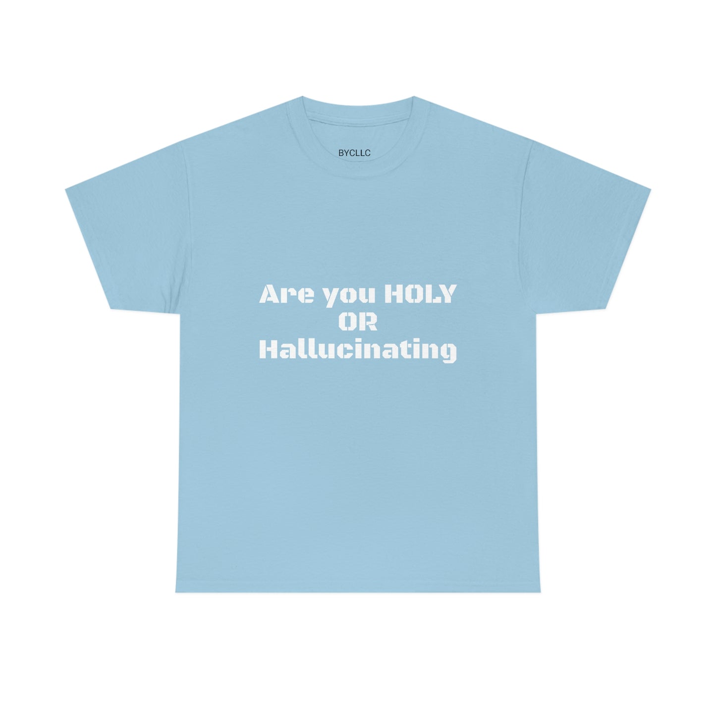 Unisex Heavy(Holy or Hallucinating)