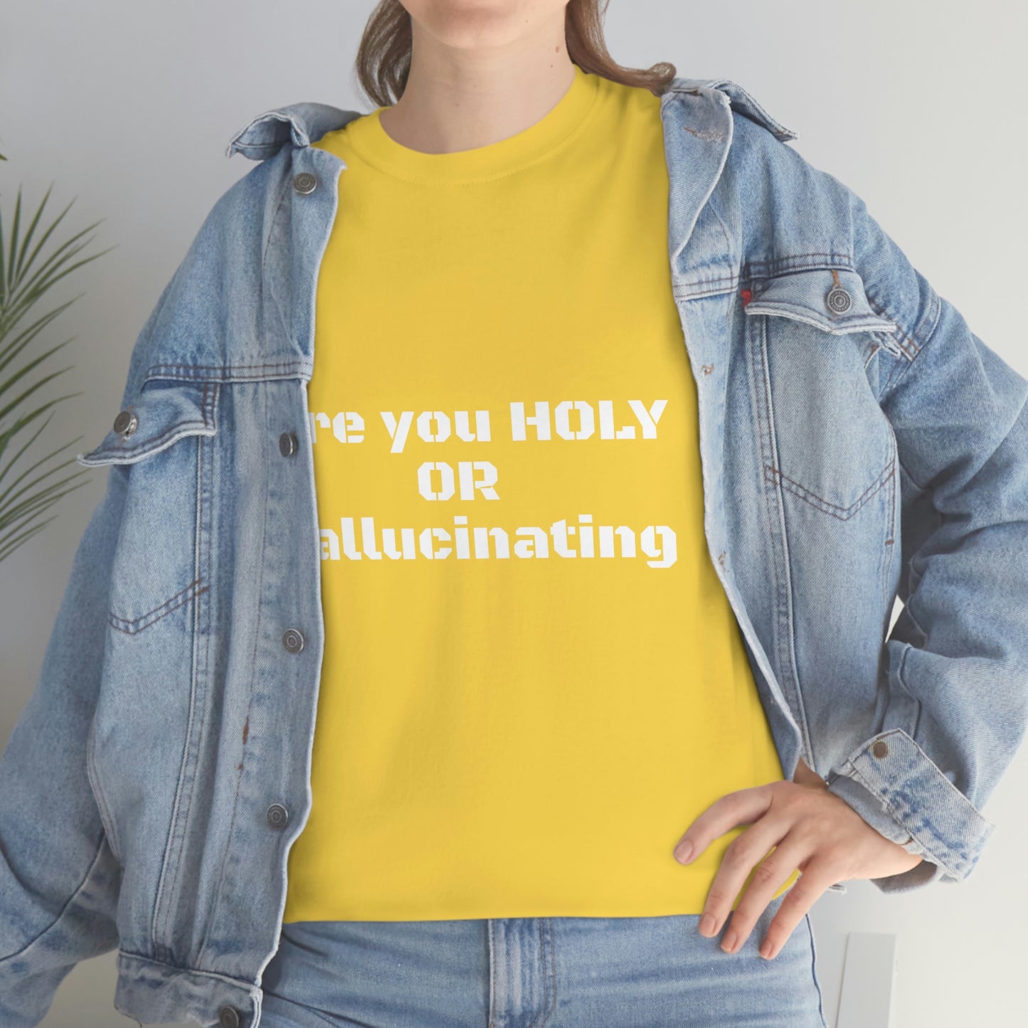 Unisex Heavy(Holy or Hallucinating)