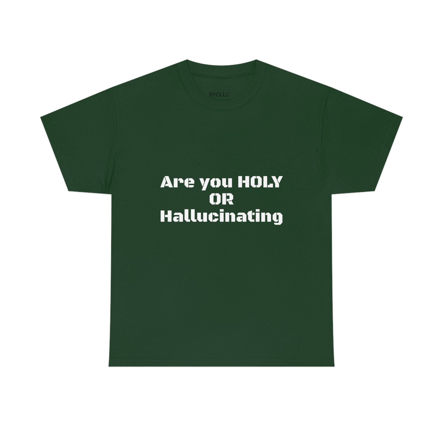 Unisex Heavy(Holy or Hallucinating)