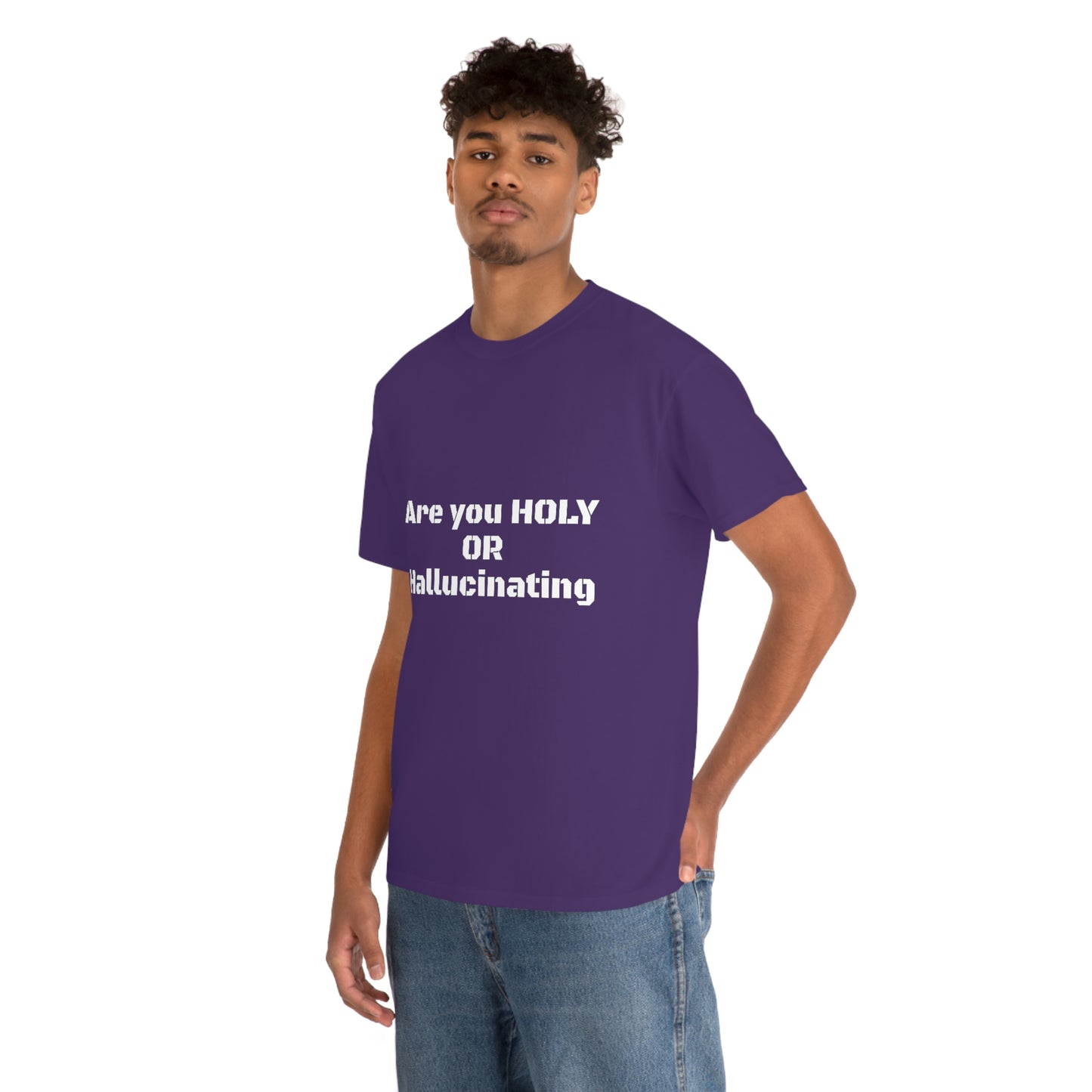 Unisex Heavy(Holy or Hallucinating)