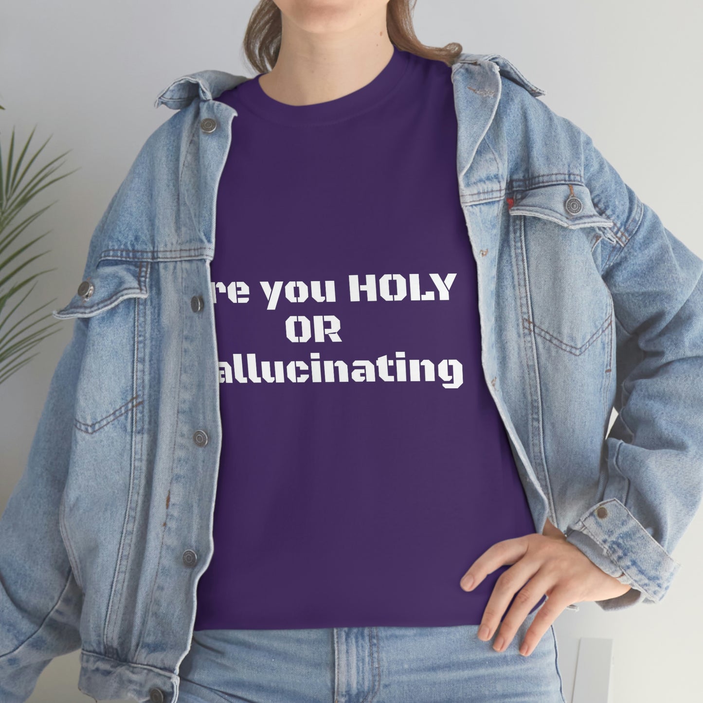 Unisex Heavy(Holy or Hallucinating)