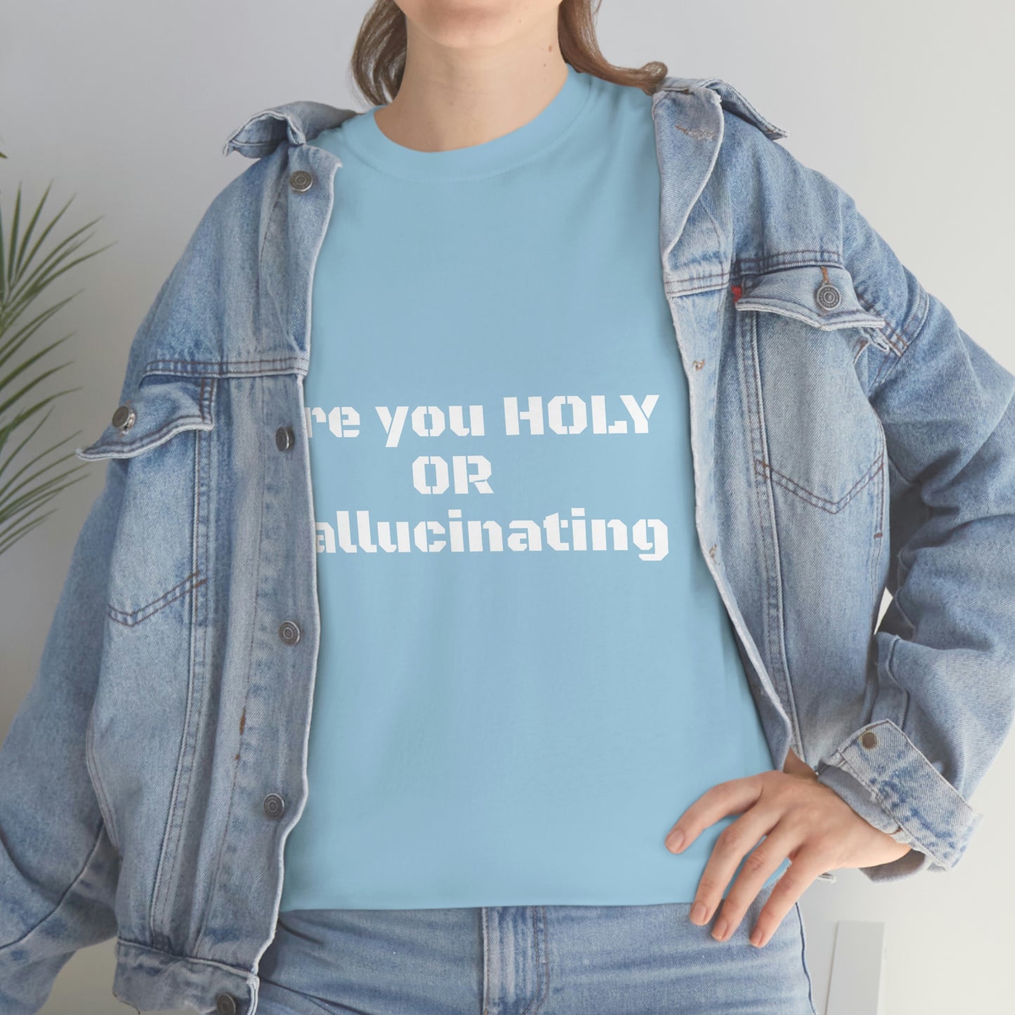 Unisex Heavy(Holy or Hallucinating)