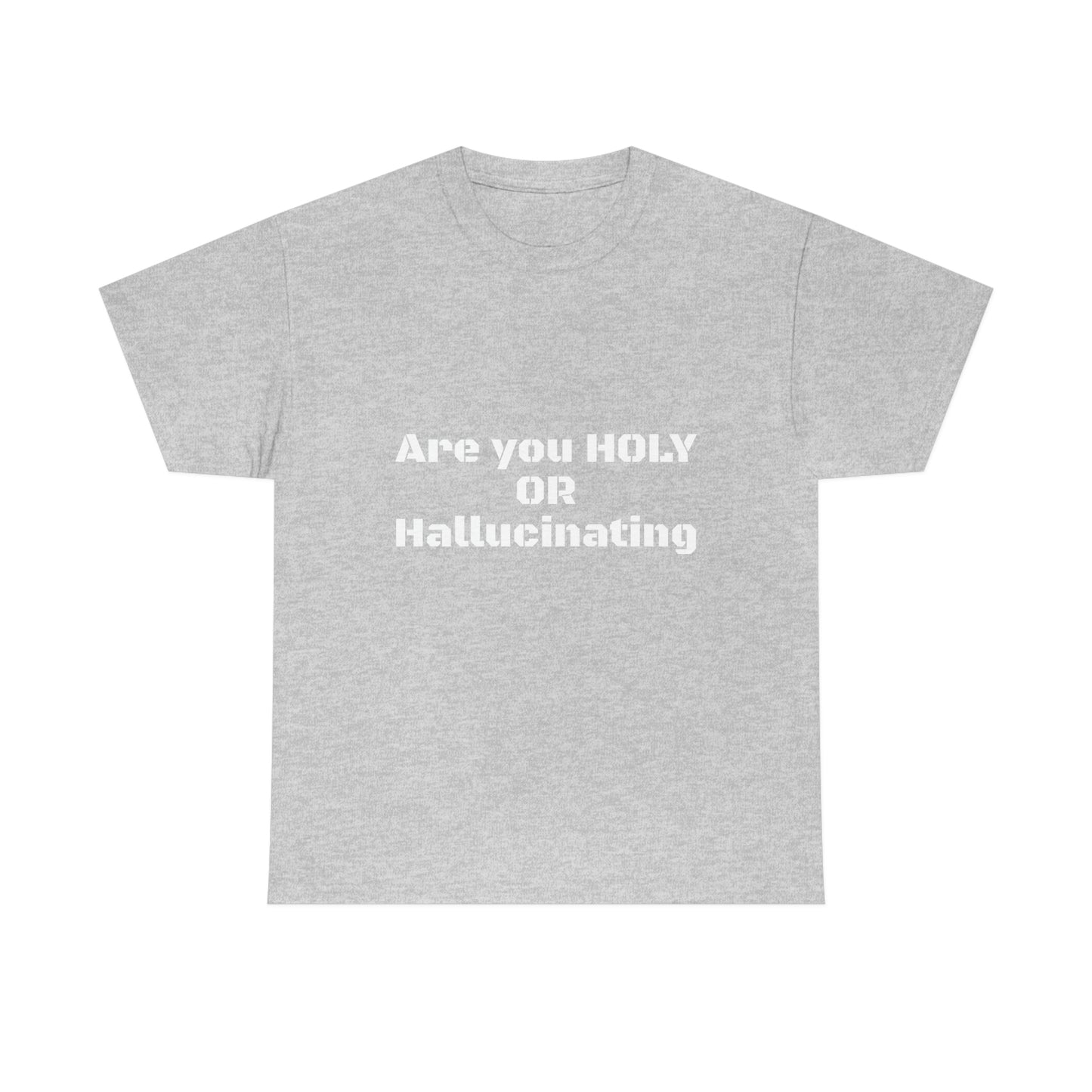 Unisex Heavy(Holy or Hallucinating)