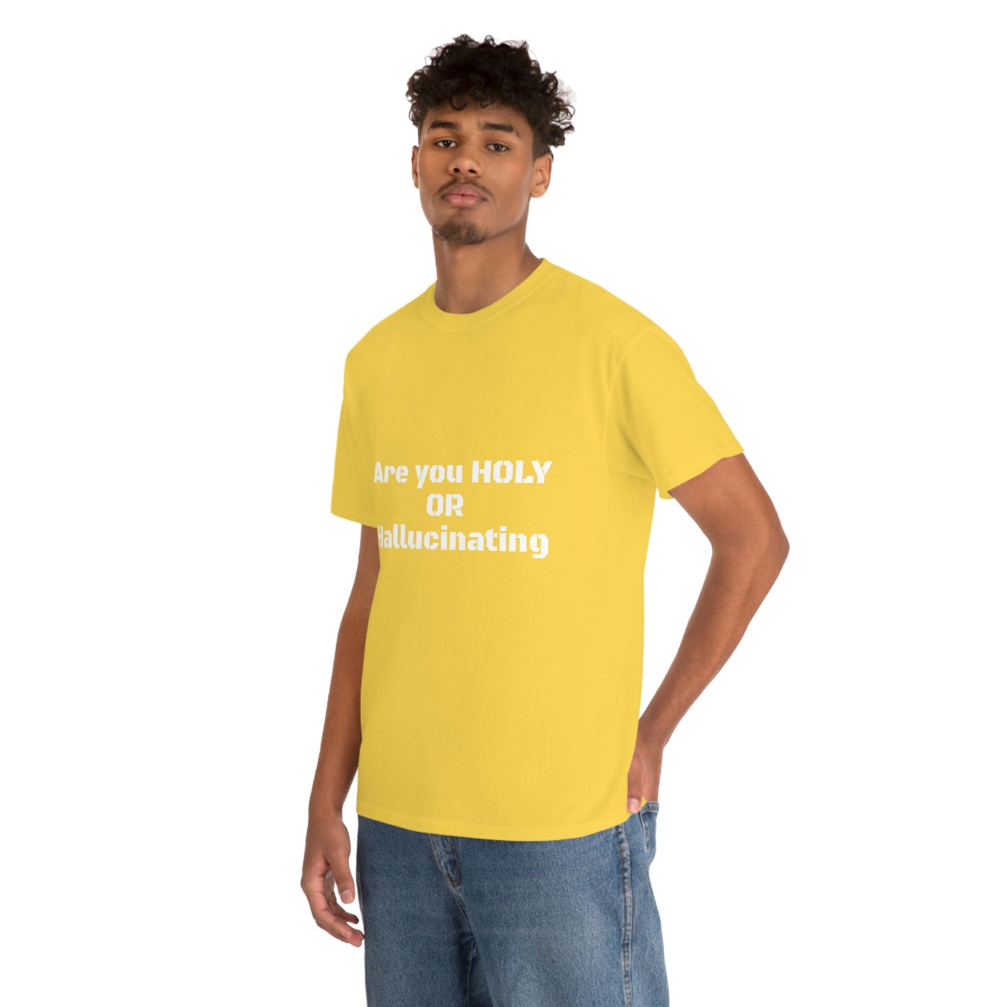 Unisex Heavy(Holy or Hallucinating)