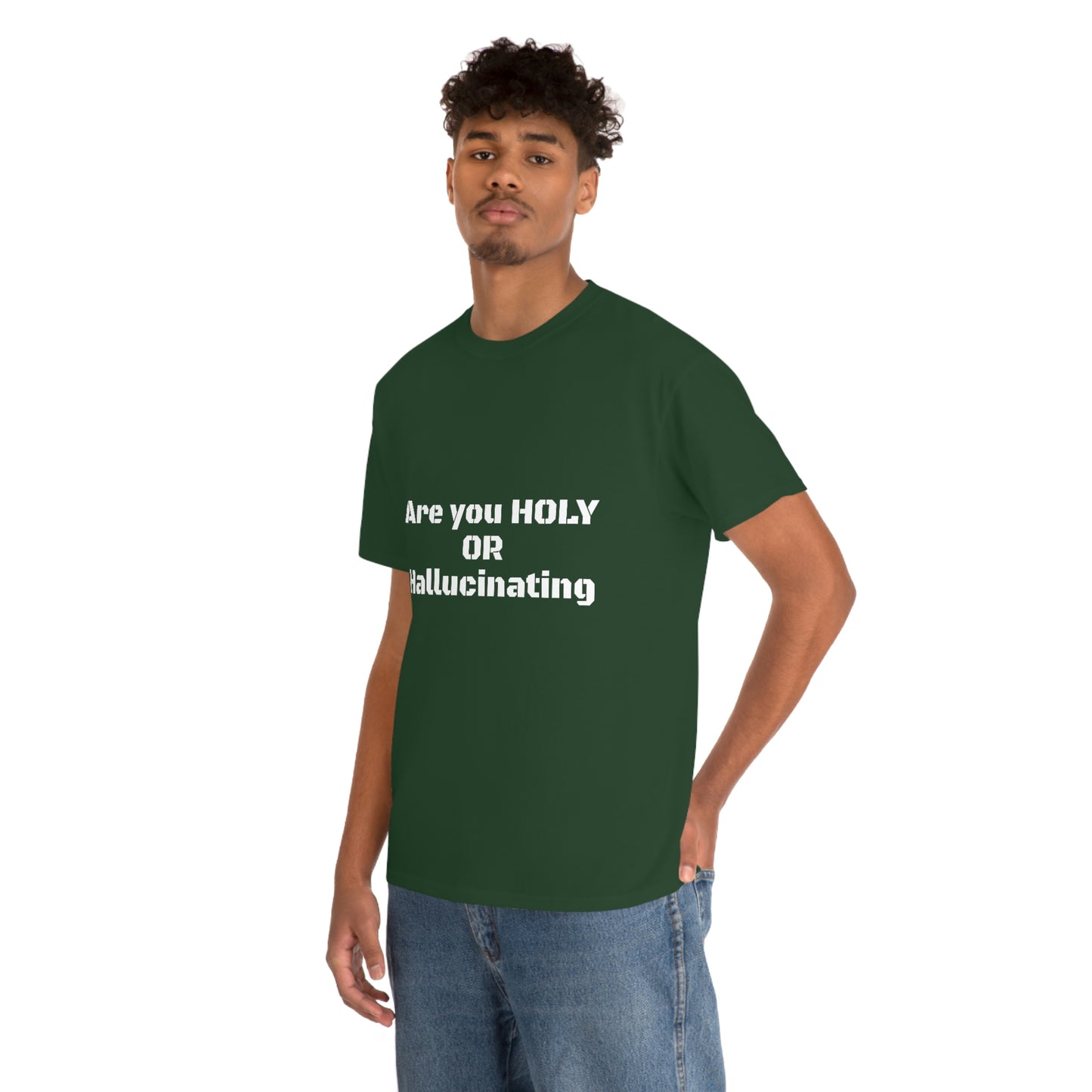 Unisex Heavy(Holy or Hallucinating)