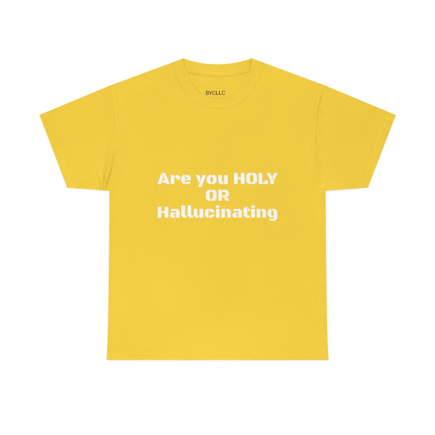 Unisex Heavy(Holy or Hallucinating)