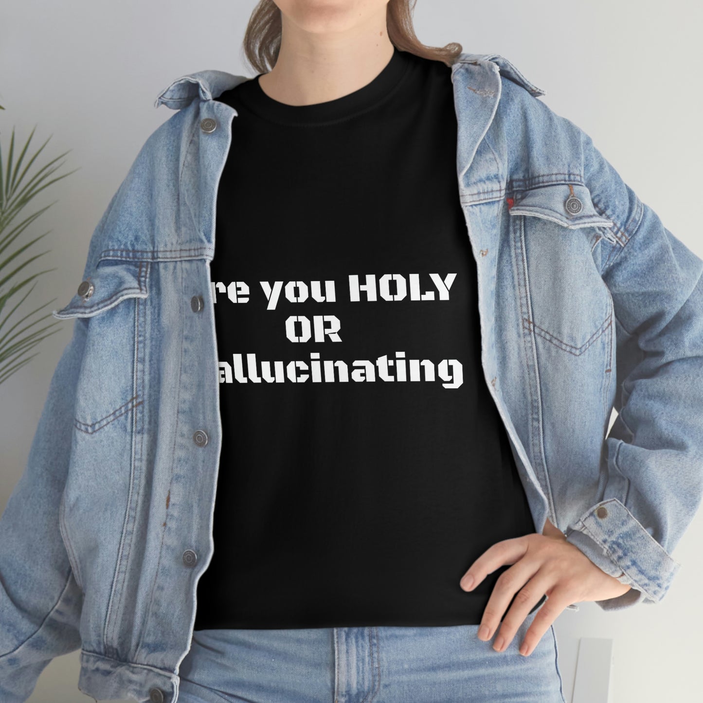 Unisex Heavy(Holy or Hallucinating)