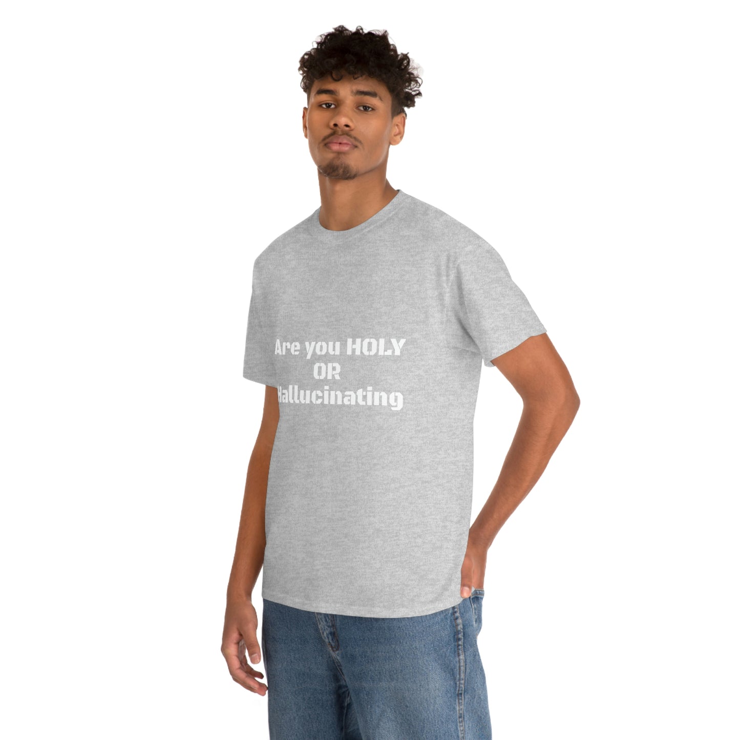 Unisex Heavy(Holy or Hallucinating)